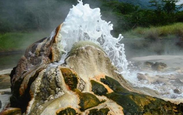 8 Days Kibale, Semuliki, Queen Elizabeth And Lake Mburo Experience
