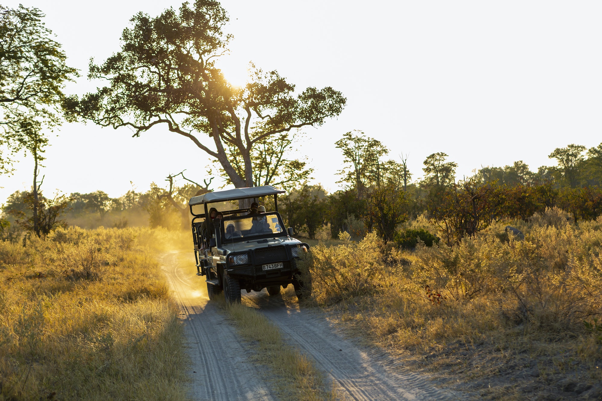 Safari jeep on a dirt road, a sunrise drive