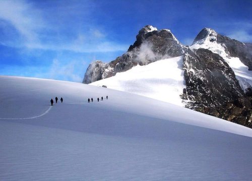 Rwenzori mountain trekking experience