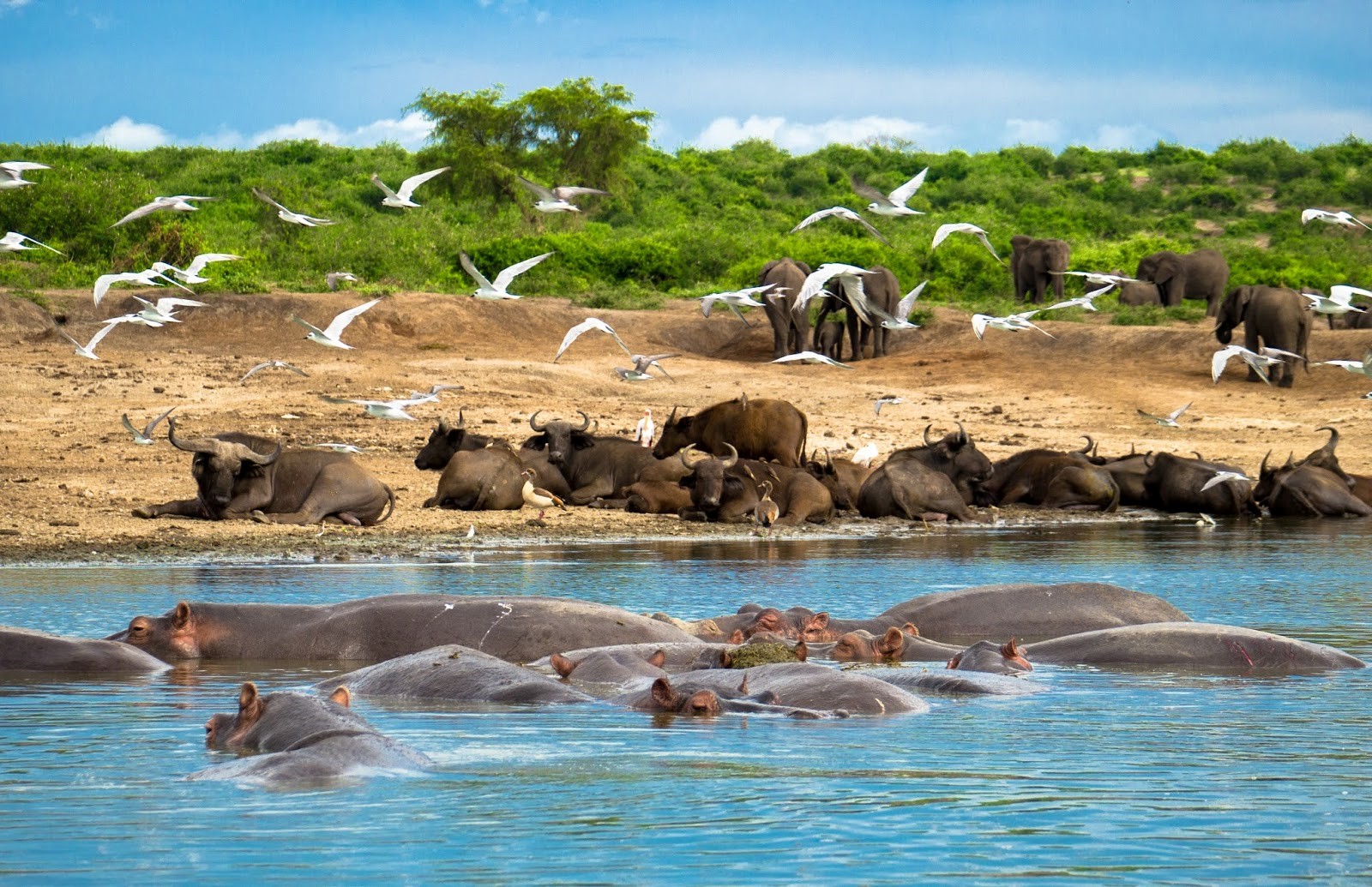  9 Days Murchison Falls, Queen Elizabeth And Lake Mburo
