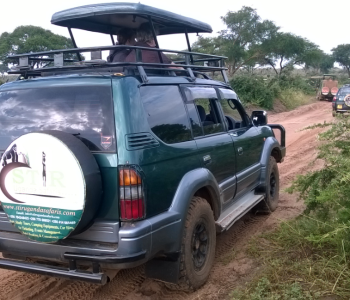 GENERAL INFORMATION ON SAFARI TRANSPORT SERVICE IN UGANDA